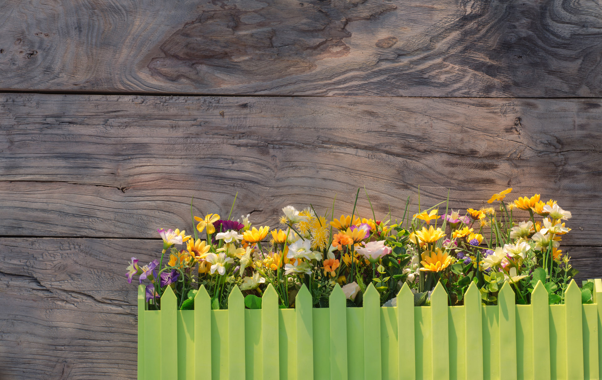 Blumenkasten vor Holzwand