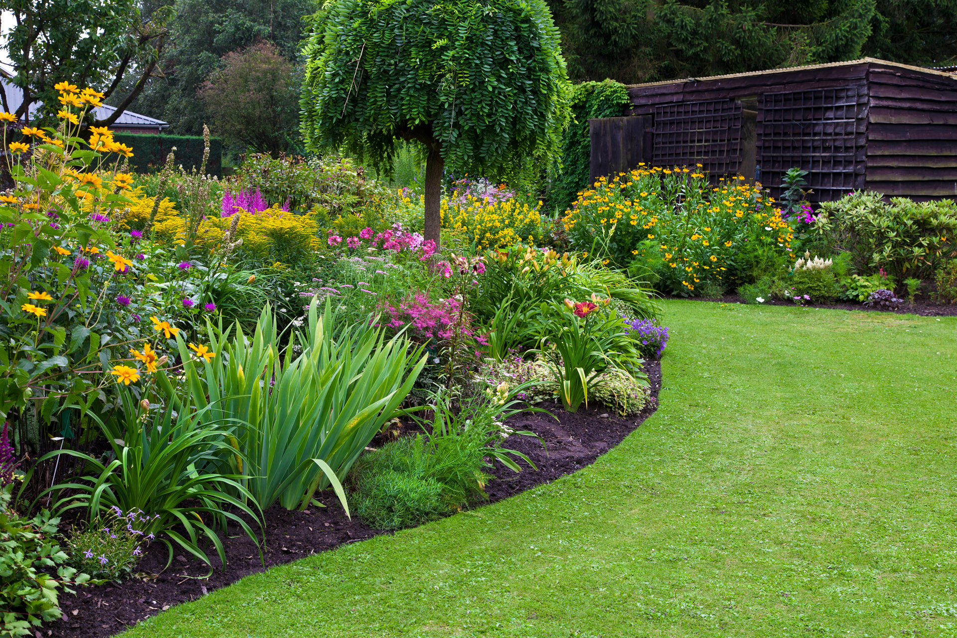 Gepflegter Rasen und Blumen im Garten