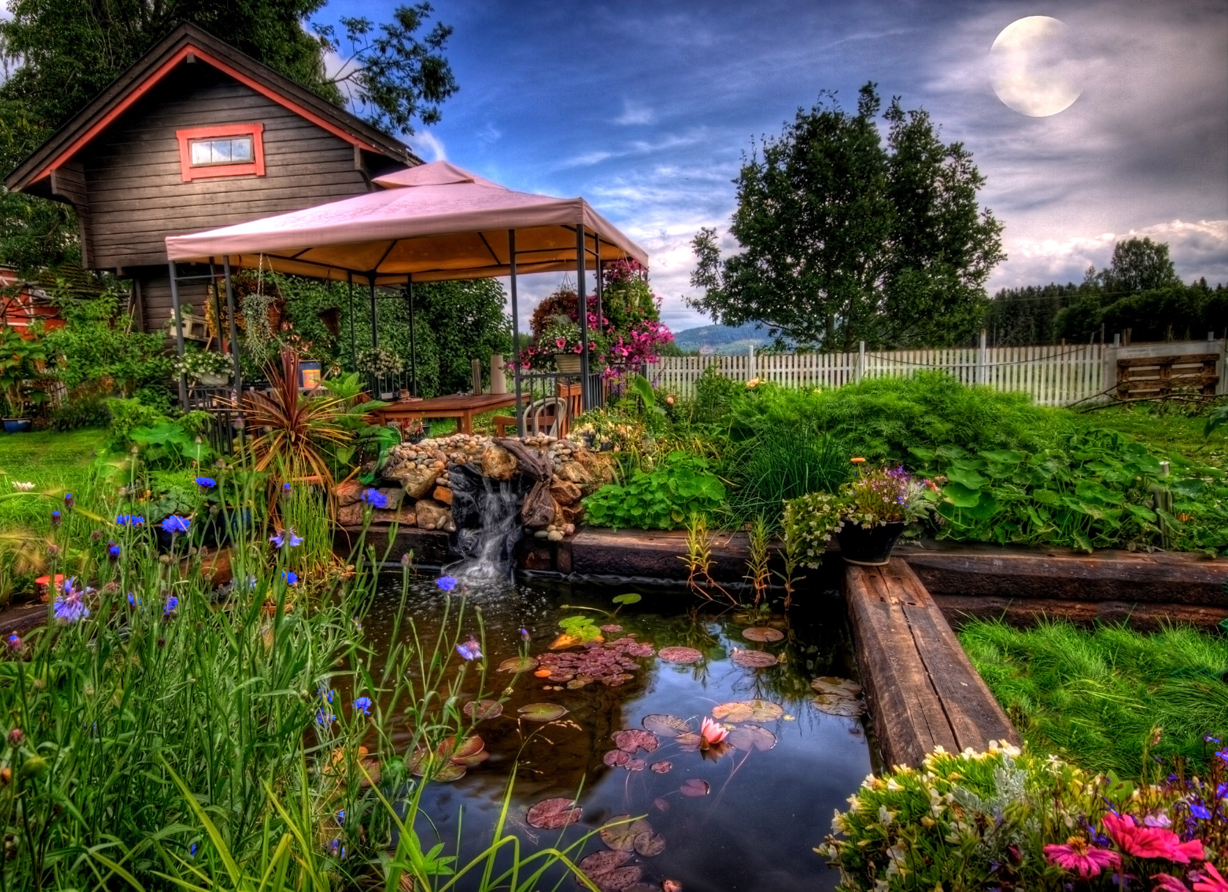 Teich und Pavillon im wilden Garten