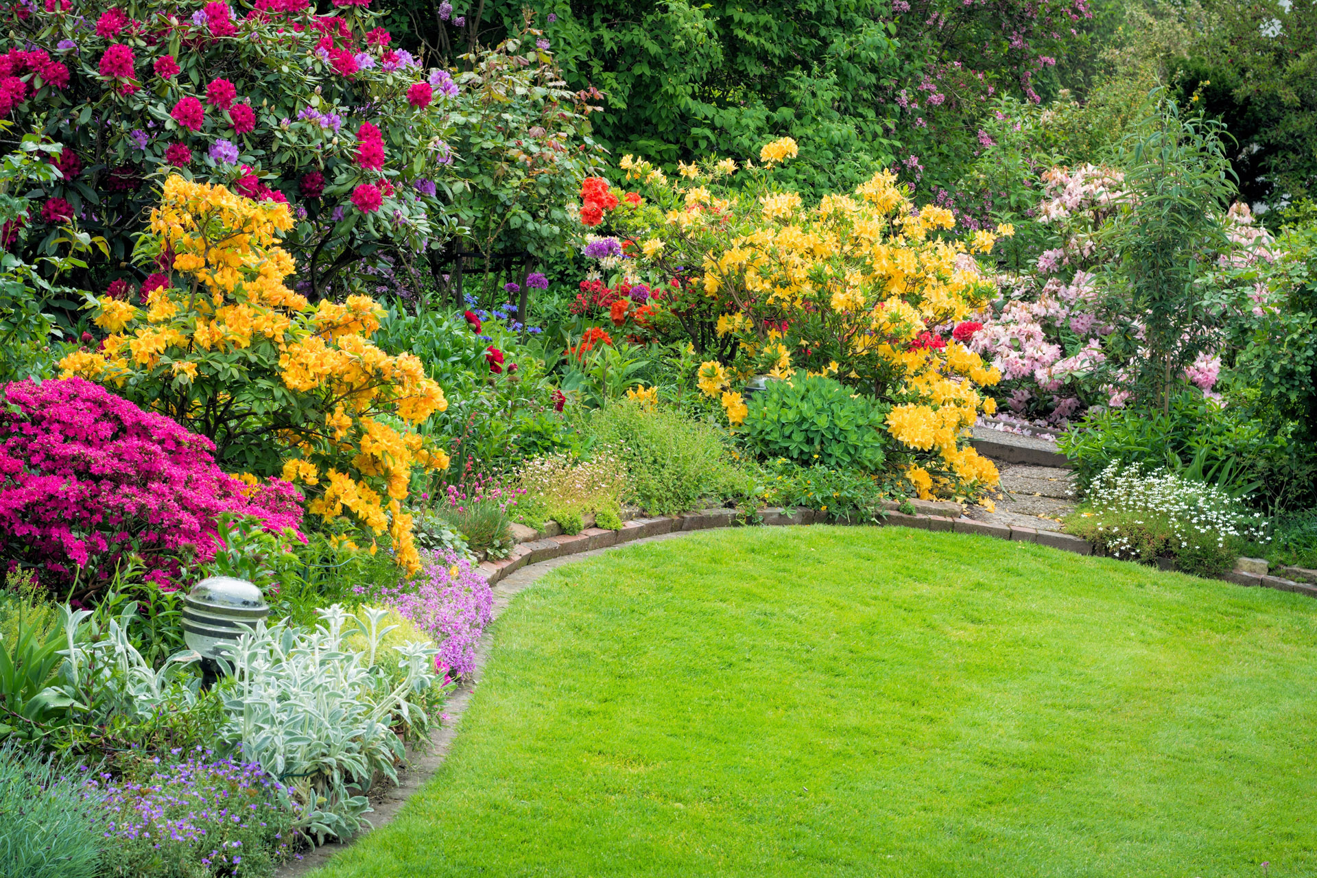 Blumen und Wiese im Garten