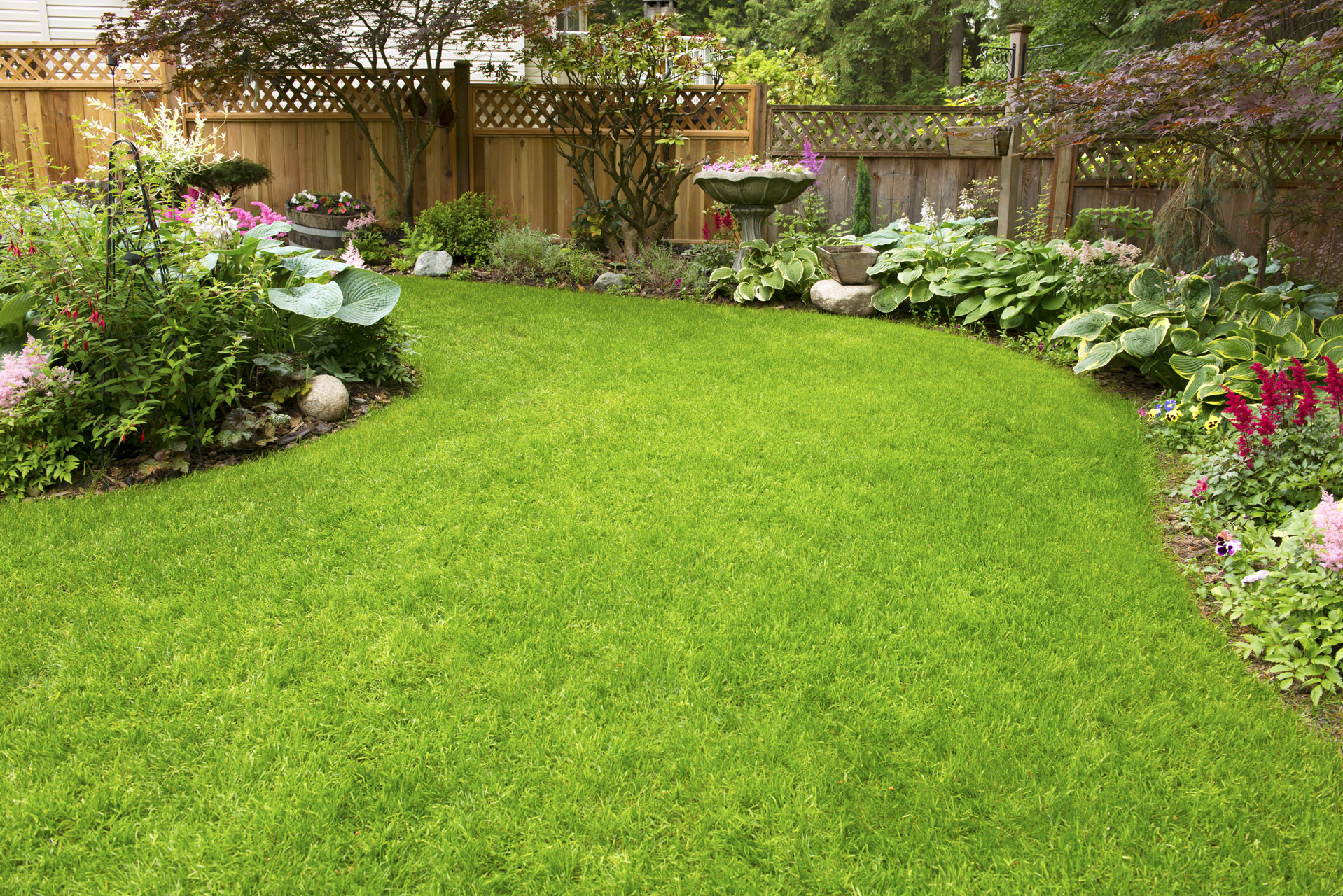 Gepflegter Rasen im Garten