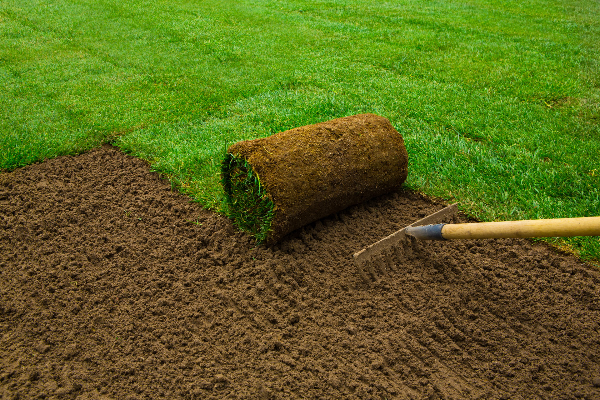 ausgerollter Rasen für den Garten