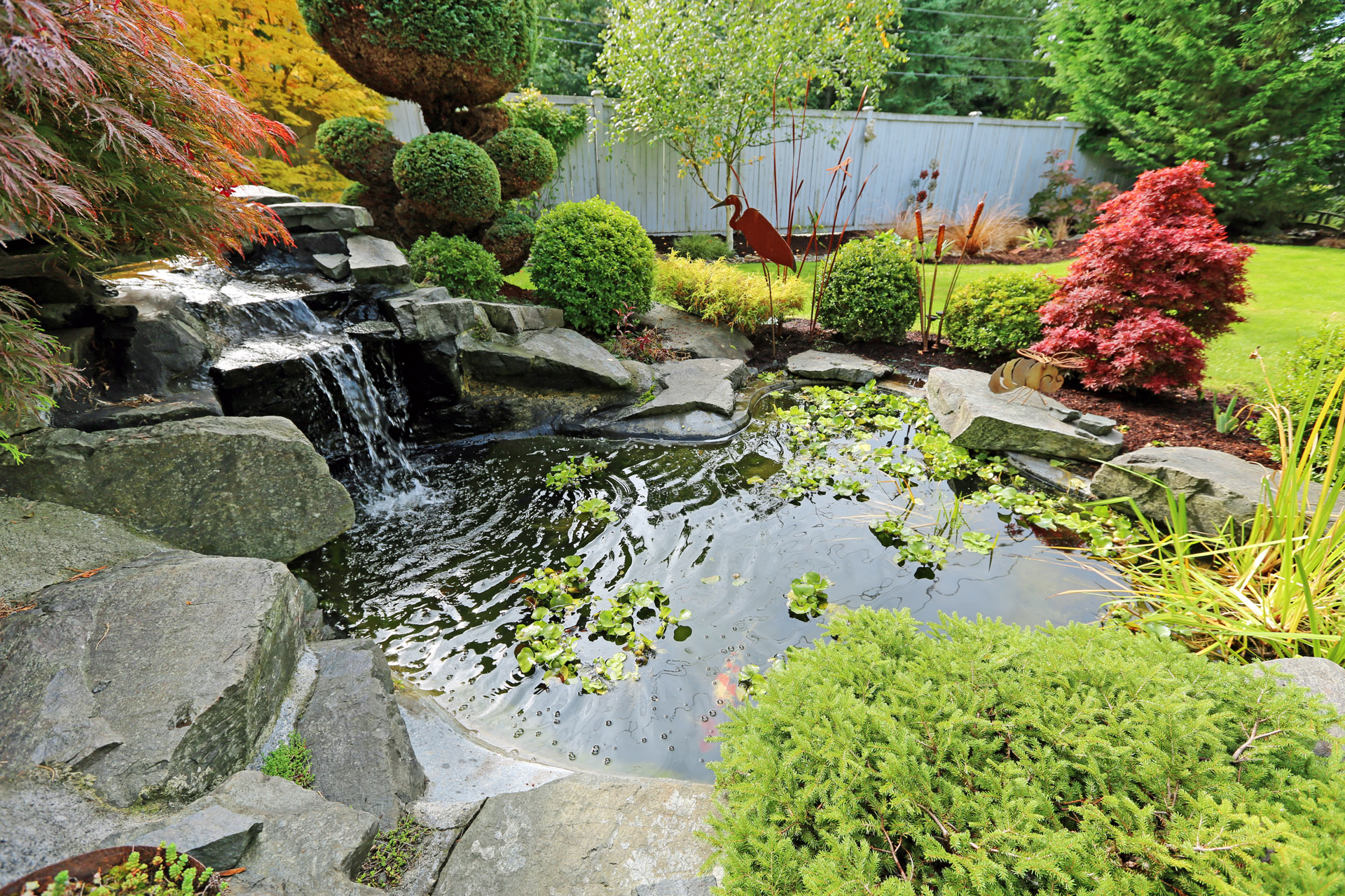 Teich mit kleinem Wasserfall im Garten
