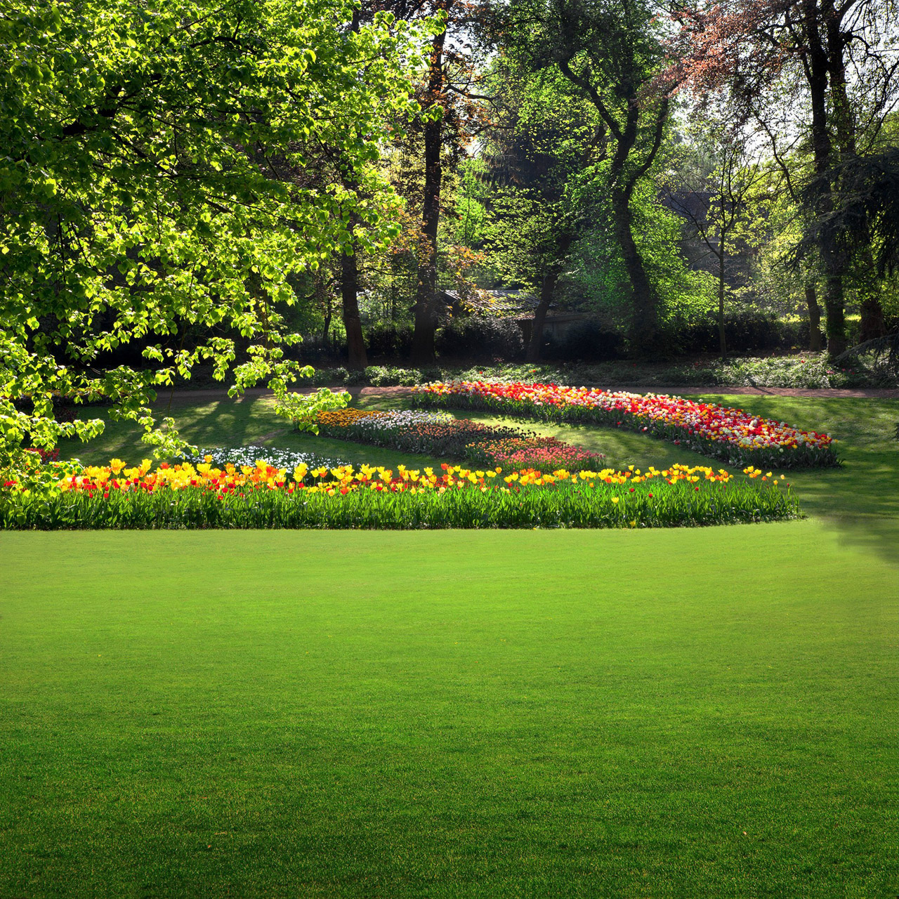 Große Wiese, Blumen und Bäume