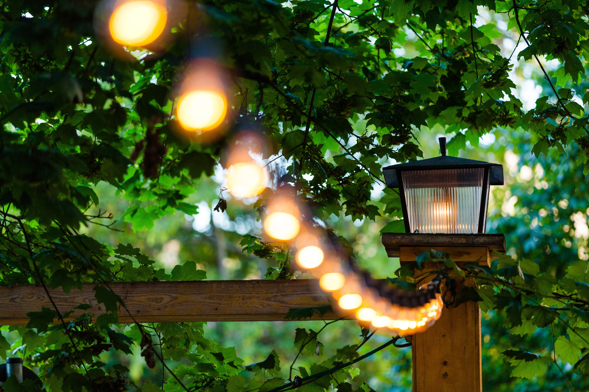 Beleuchtung im Garten